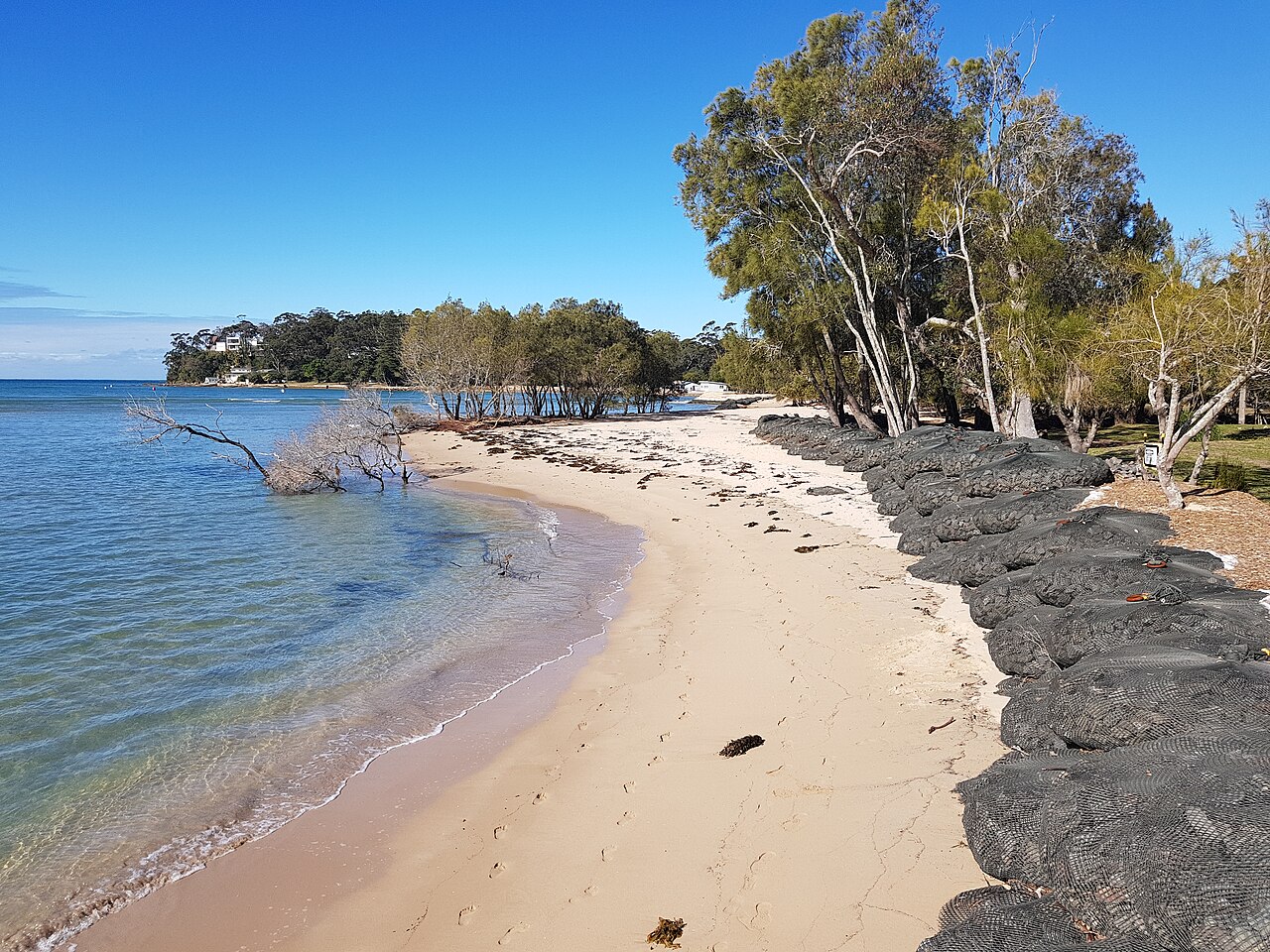 Bonnie Vale, Royal National Park